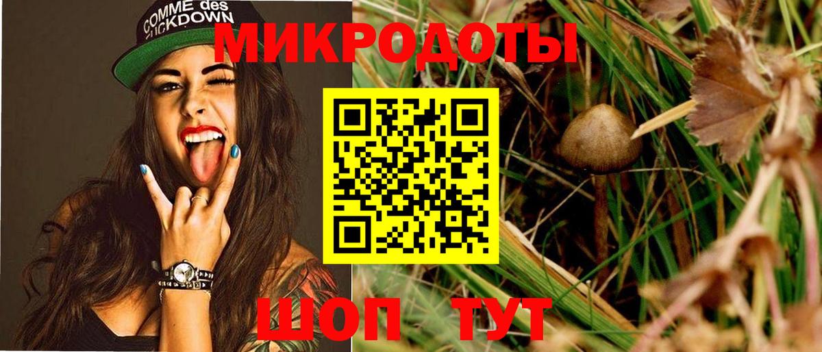Дзержинский  Псилоцибиновые грибы Magic Shrooms  Вход с VPN  Псилоцибиновые грибы MAGIC MUSHROOMS 